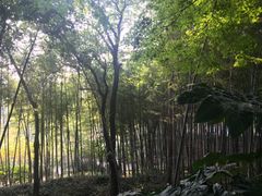 -上海市保健医疗中心(华东疗养院)