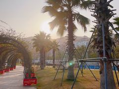 -大梅沙海滨公园