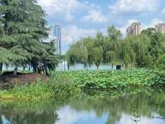 -金银湖国家城市湿地公园