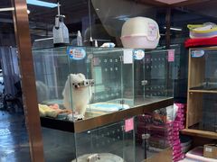 -FAELING PETS美天灵宠物(富力广场店)