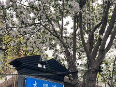 -奈雪的茶(天河城店)