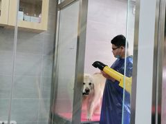 -宠福鑫康馨动物医院·骨科·眼科