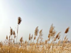 -野鸭湖国家湿地公园