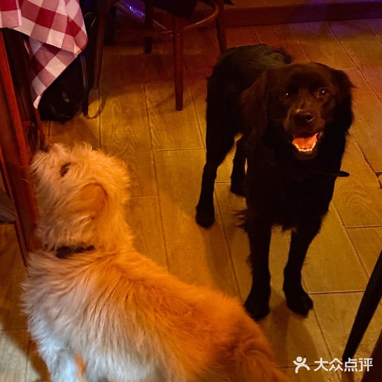 在永康路!发现好吃好玩的宝藏小店!