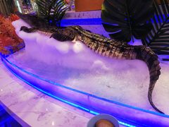 -澜悦港海鲜体验主题餐厅