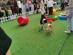 -东莞松山湖万象汇