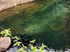 -白云源风景区