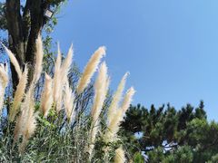 -天河潭旅游度假区