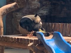 -石家庄市动物园