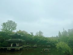 -水绘园