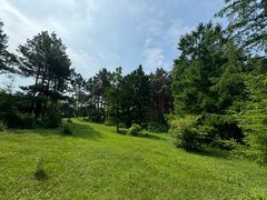 -玉泉威虎山森林公园