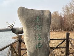 -溱湖国家湿地公园