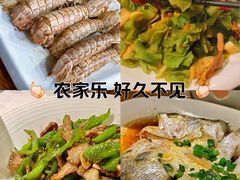 -农家乐·福建土菜(金榕北路店)