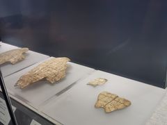 -河南博物院