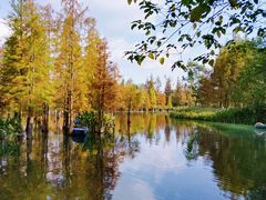 -白鹭湾湿地公园