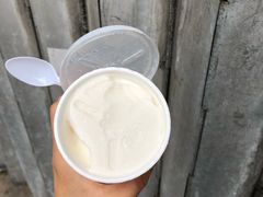 -洪馨椰子