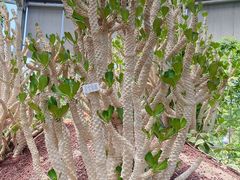 -南通洲际绿博园