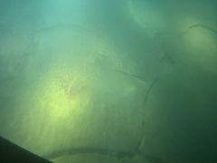 -白鹤梁水下博物馆