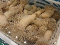 -健眺小海鲜(临海后山店)