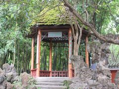 -望江楼公园