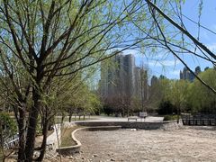 -望湖公园