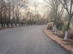 -泗洪洪泽湖湿地景区