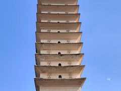 -崇圣寺三塔文化旅游区