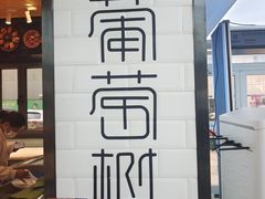 -葡萄树蛋糕(友好店)