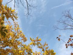 -合肥三国新城遗址公园