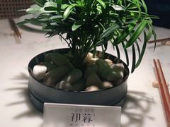 -初蓉丨遇见新川菜(亲贤街荣耀店)