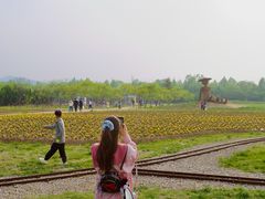 -日照海滨国家森林公园