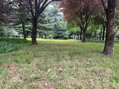 -唐城墙遗址公园