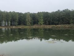 -四明湖