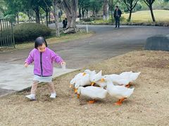 -Club Med地中海俱乐部·桂林度假村