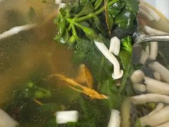 山珍野菌汤-老味道1992(武当山店)