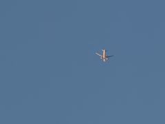 -金实大酥牛肉面