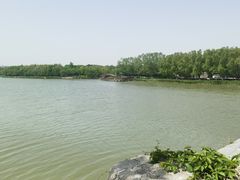 -塘沽森林公园