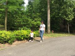 -崇明东平国家森林公园烧烤房车露营地