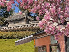 -湛山寺