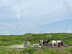 -涉地可支