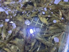 -聚盛源蒸汽海鲜火锅烤肉自助(巨川金海岸购物广场店)