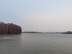 -东湖落雁景区
