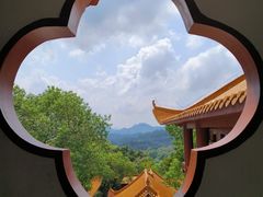 -深圳仙湖植物园