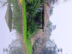 -桤木河湿地公园