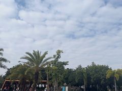 -宝安西湾红树林湿地公园