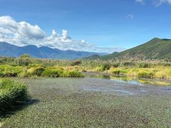 -泸沽湖国家级风景名胜区走婚桥