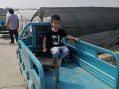 -小鱼草莓采摘园农家乐·小鱼餐厅