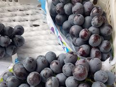 -马陆小张葡萄园农家乐