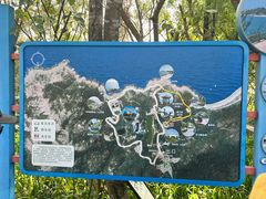 -广东惠东海龟国家级自然保护区