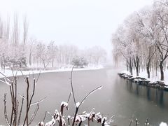 -大兴滨河森林公园